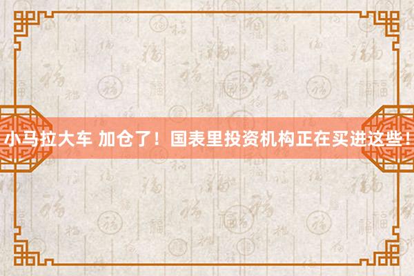 小马拉大车 加仓了！国表里投资机构正在买进这些！