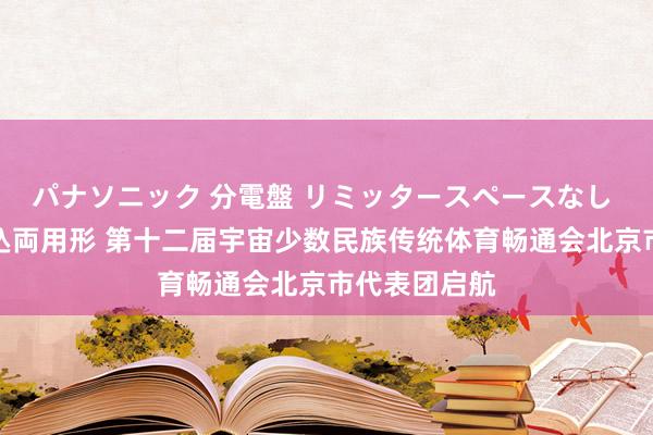 パナソニック 分電盤 リミッタースペースなし 露出・半埋込両用形 第十二届宇宙少数民族传统体育畅通会北京市代表团启航