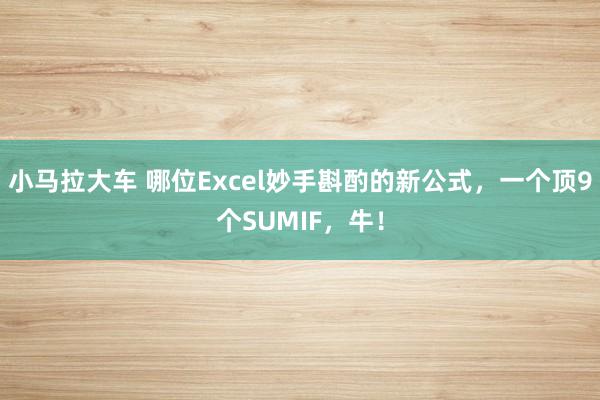 小马拉大车 哪位Excel妙手斟酌的新公式，一个顶9个SUMIF，牛！