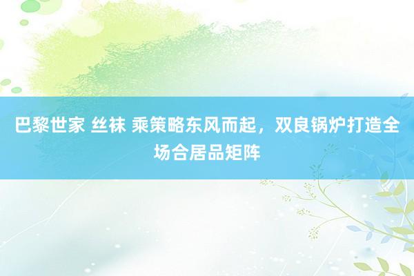 巴黎世家 丝袜 乘策略东风而起，双良锅炉打造全场合居品矩阵