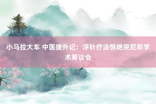 小马拉大车 中医援外记：浮针疗法惊艳突尼斯学术筹议会