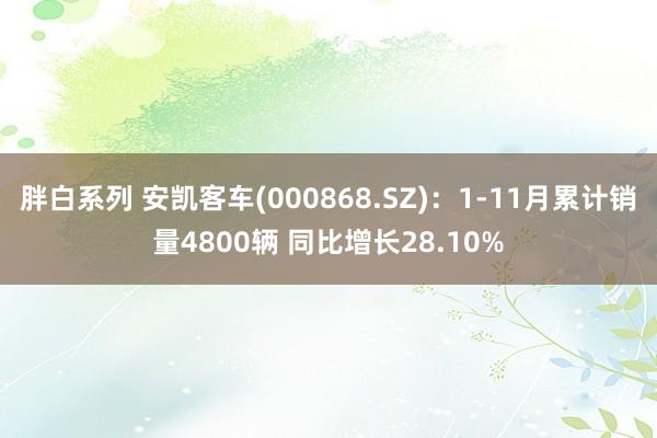 胖白系列 安凯客车(000868.SZ)：1-11月累计销量4800辆 同比增长28.10%