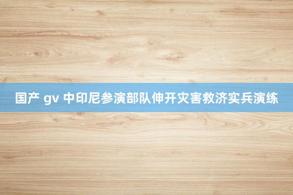 国产 gv 中印尼参演部队伸开灾害救济实兵演练