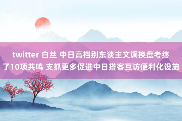 twitter 白丝 中日高档别东谈主文调换盘考终了10项共鸣 支抓更多促进中日搭客互访便利化设施