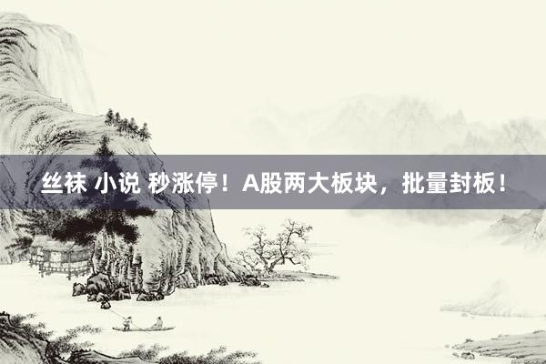 丝袜 小说 秒涨停！A股两大板块，批量封板！