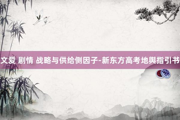 文爱 剧情 战略与供给侧因子-新东方高考地舆指引书