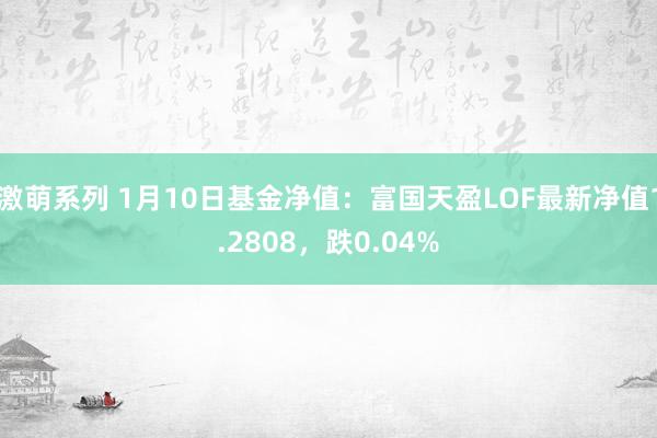 激萌系列 1月10日基金净值：富国天盈LOF最新净值1.2808，跌0.04%