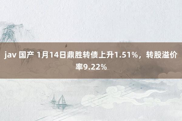 jav 国产 1月14日鼎胜转债上升1.51%，转股溢价率9.22%