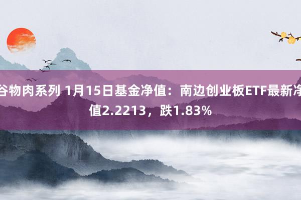 谷物肉系列 1月15日基金净值：南边创业板ETF最新净值2.2213，跌1.83%