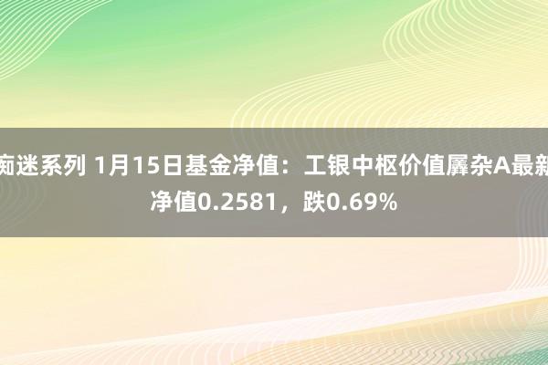 痴迷系列 1月15日基金净值：工银中枢价值羼杂A最新净值0.2581，跌0.69%
