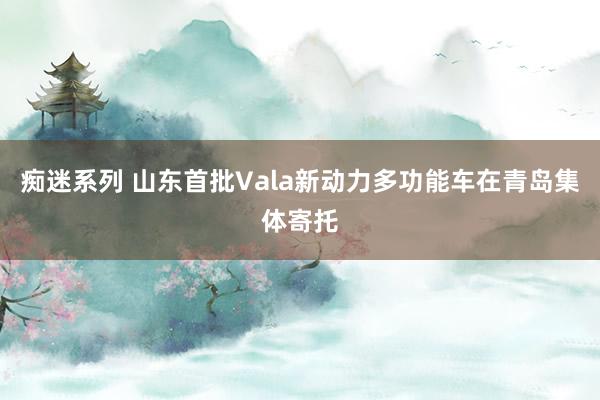 痴迷系列 山东首批Vala新动力多功能车在青岛集体寄托