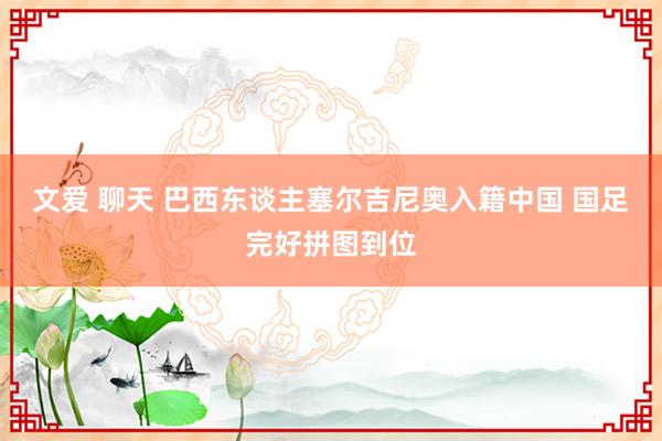 文爱 聊天 巴西东谈主塞尔吉尼奥入籍中国 国足完好拼图到位