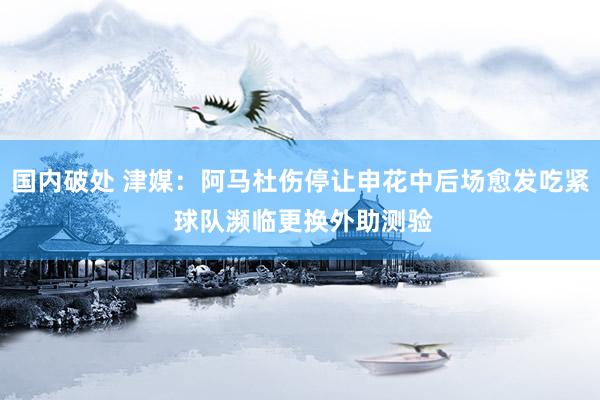 国内破处 津媒：阿马杜伤停让申花中后场愈发吃紧 球队濒临更换外助测验