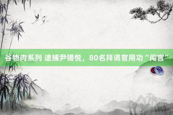 谷物肉系列 逮捕尹锡悦，80名拜谒官用功“闯宫”