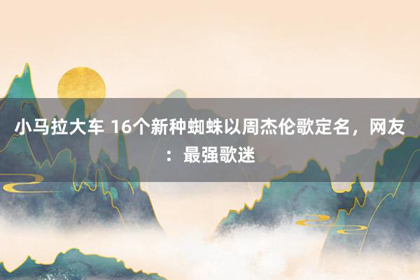 小马拉大车 16个新种蜘蛛以周杰伦歌定名，网友：最强歌迷