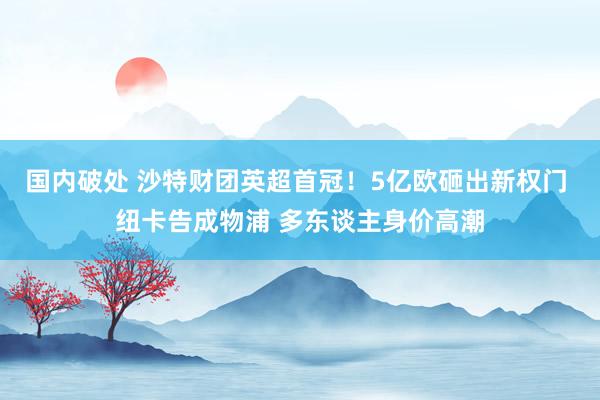 国内破处 沙特财团英超首冠！5亿欧砸出新权门 纽卡告成物浦 多东谈主身价高潮