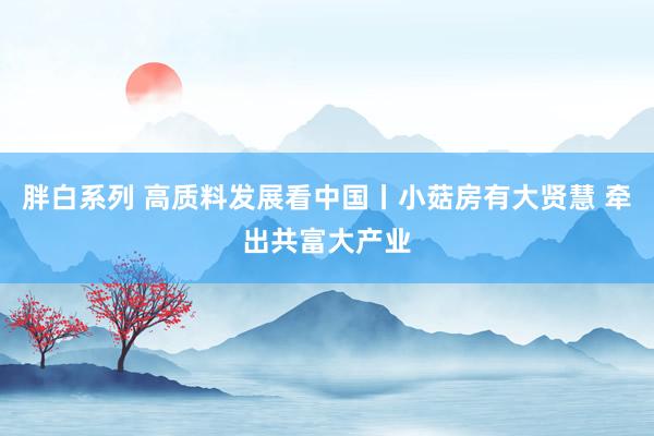 胖白系列 高质料发展看中国丨小菇房有大贤慧 牵出共富大产业