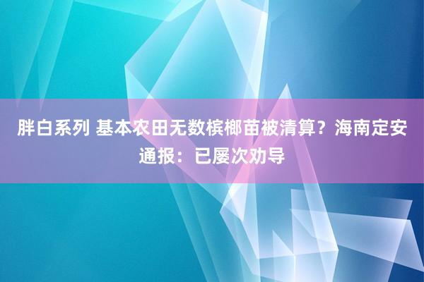 胖白系列 基本农田无数槟榔苗被清算？海南定安通报：已屡次劝导