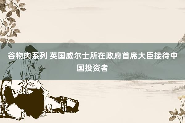 谷物肉系列 英国威尔士所在政府首席大臣接待中国投资者