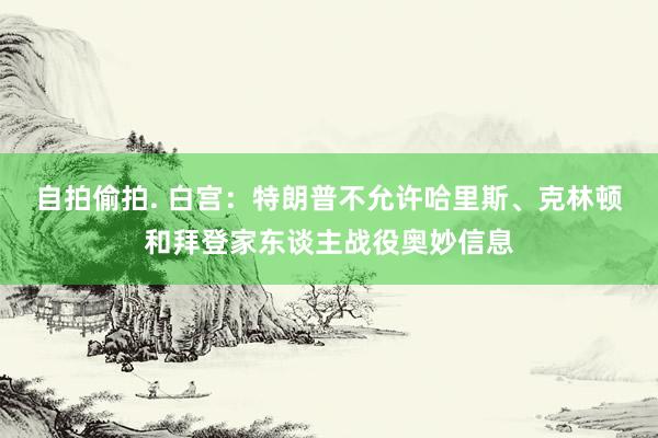 自拍偷拍. 白宫：特朗普不允许哈里斯、克林顿和拜登家东谈主战役奥妙信息