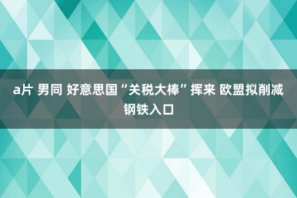 a片 男同 好意思国“关税大棒”挥来 欧盟拟削减钢铁入口