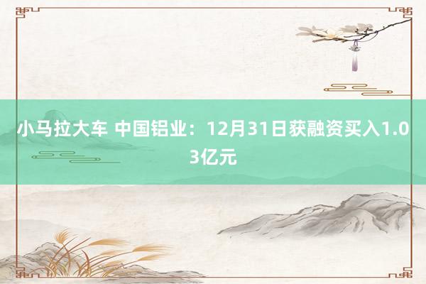 小马拉大车 中国铝业：12月31日获融资买入1.03亿元