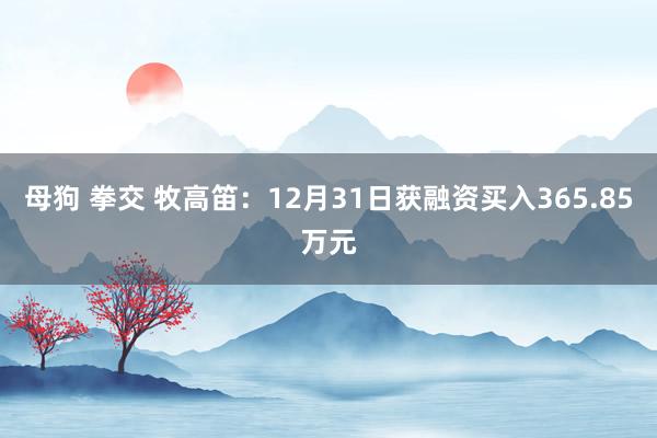 母狗 拳交 牧高笛：12月31日获融资买入365.85万元