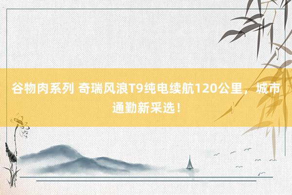 谷物肉系列 奇瑞风浪T9纯电续航120公里，城市通勤新采选！