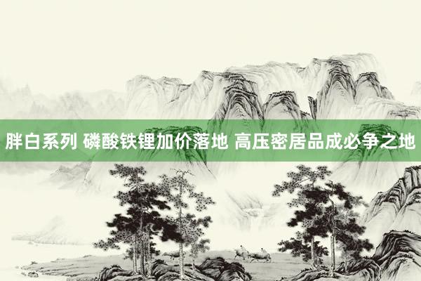 胖白系列 磷酸铁锂加价落地 高压密居品成必争之地