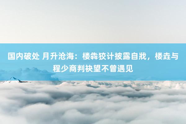 国内破处 月升沧海：楼犇狡计披露自戕，楼垚与程少商判袂望不曾遇见