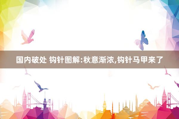 国内破处 钩针图解:秋意渐浓，钩针马甲来了