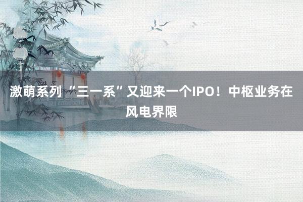 激萌系列 “三一系”又迎来一个IPO！中枢业务在风电界限
