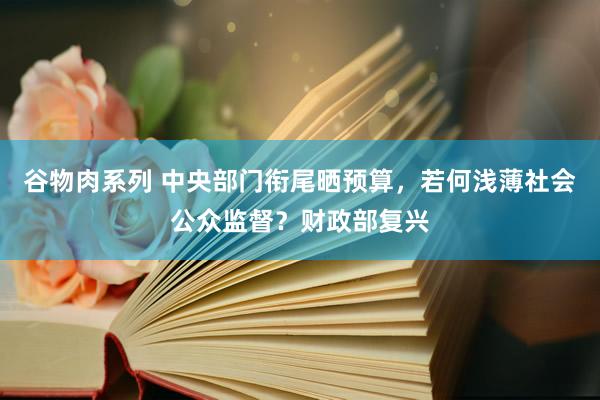 谷物肉系列 中央部门衔尾晒预算，若何浅薄社会公众监督？财政部复兴