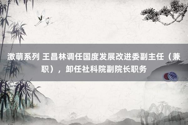 激萌系列 王昌林调任国度发展改进委副主任（兼职），卸任社科院副院长职务
