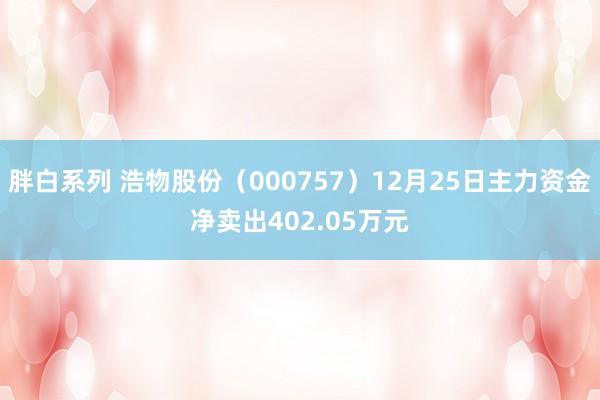 胖白系列 浩物股份（000757）12月25日主力资金净卖出402.05万元