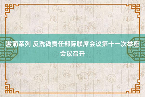 激萌系列 反洗钱责任部际联席会议第十一次举座会议召开