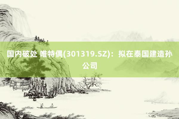 国内破处 唯特偶(301319.SZ)：拟在泰国建造孙公司