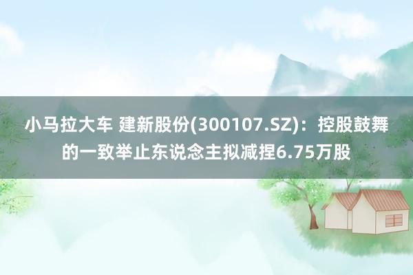 小马拉大车 建新股份(300107.SZ)：控股鼓舞的一致举止东说念主拟减捏6.75万股