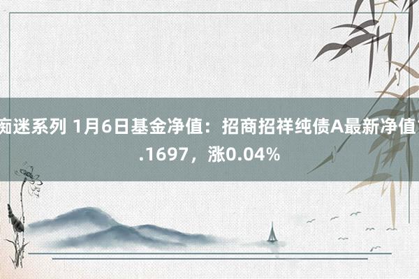 痴迷系列 1月6日基金净值：招商招祥纯债A最新净值1.1697，涨0.04%