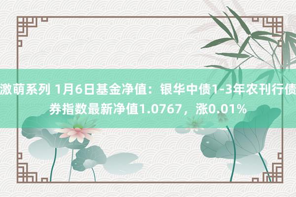 激萌系列 1月6日基金净值：银华中债1-3年农刊行债券指数最新净值1.0767，涨0.01%