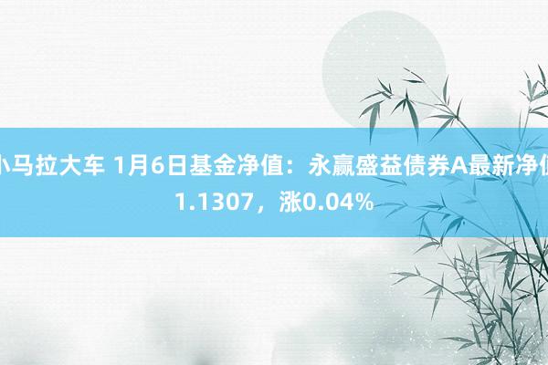 小马拉大车 1月6日基金净值：永赢盛益债券A最新净值1.1307，涨0.04%