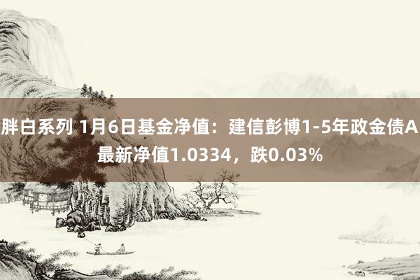 胖白系列 1月6日基金净值：建信彭博1-5年政金债A最新净值1.0334，跌0.03%