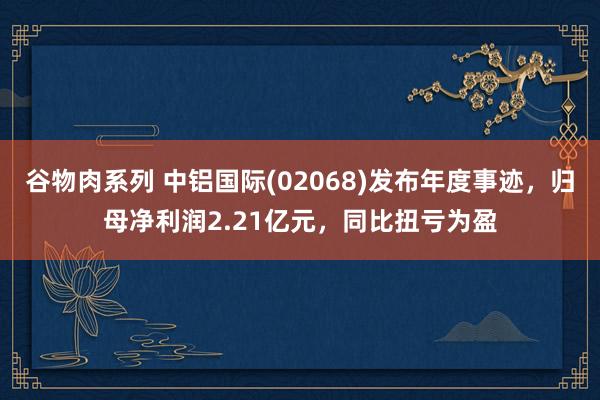谷物肉系列 中铝国际(02068)发布年度事迹，归母净利润2.21亿元，同比扭亏为盈