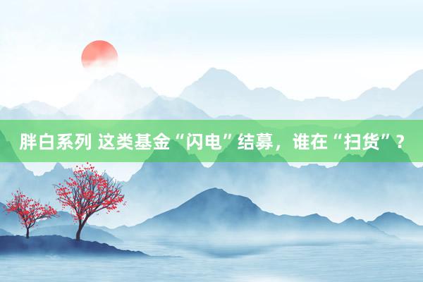 胖白系列 这类基金“闪电”结募，谁在“扫货”？
