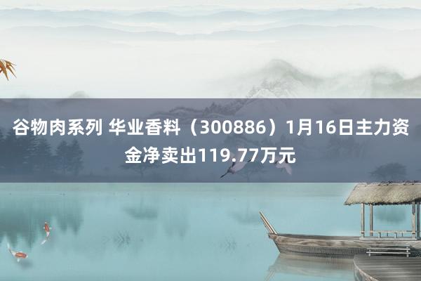谷物肉系列 华业香料（300886）1月16日主力资金净卖出119.77万元