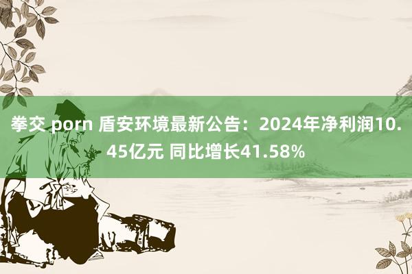 拳交 porn 盾安环境最新公告：2024年净利润10.45亿元 同比增长41.58%