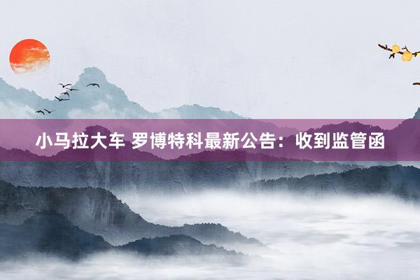 小马拉大车 罗博特科最新公告：收到监管函