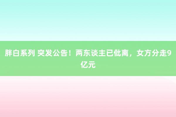 胖白系列 突发公告！两东谈主已仳离，女方分走9亿元