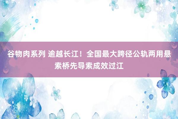 谷物肉系列 逾越长江！全国最大跨径公轨两用悬索桥先导索成效过江