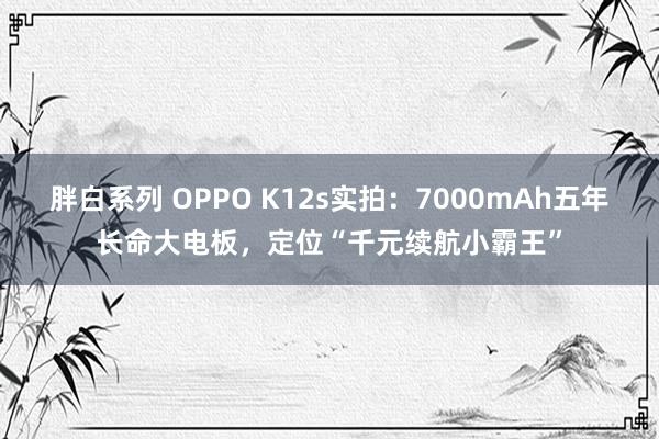 胖白系列 OPPO K12s实拍：7000mAh五年长命大电板，定位“千元续航小霸王”